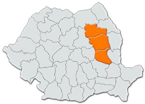 bacau bacau
