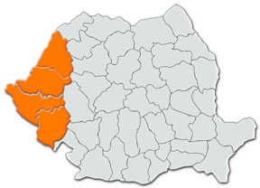 timisoara timisoara